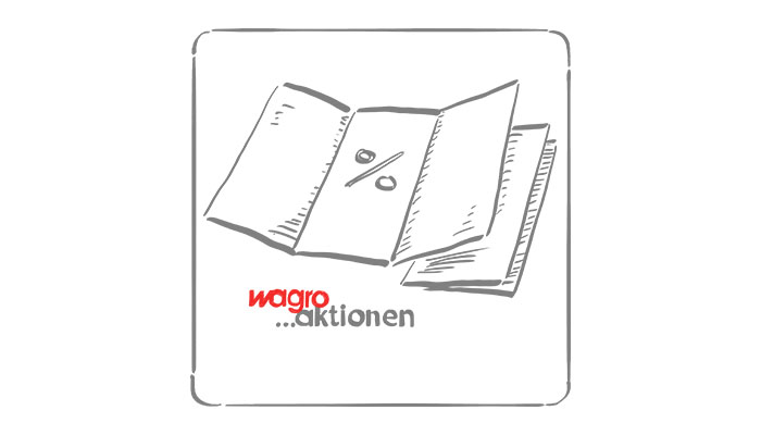 Aktionswesen